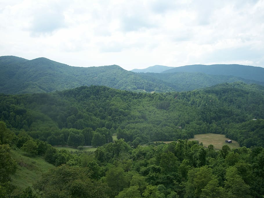 Wild Appalachia