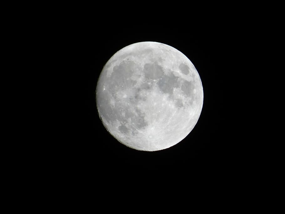 Moon, Night, Lunar, Astronomy, sky, full moon, moon surface HD wallpaper