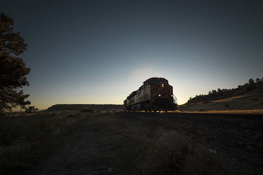 train travel during night, brown train across grass field during daytime HD wallpaper