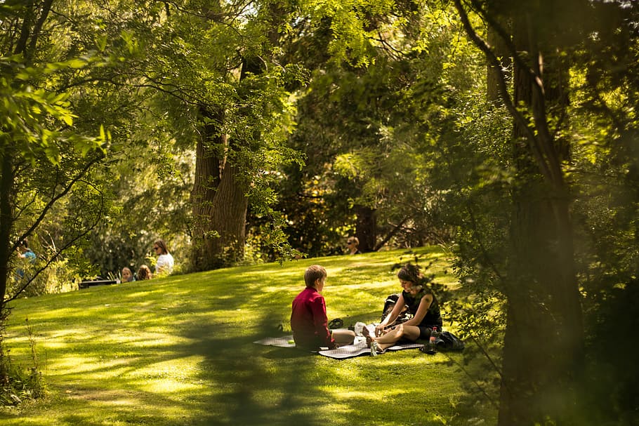 two people lying on grass with blanket surrounded by trees during daytime HD wallpaper