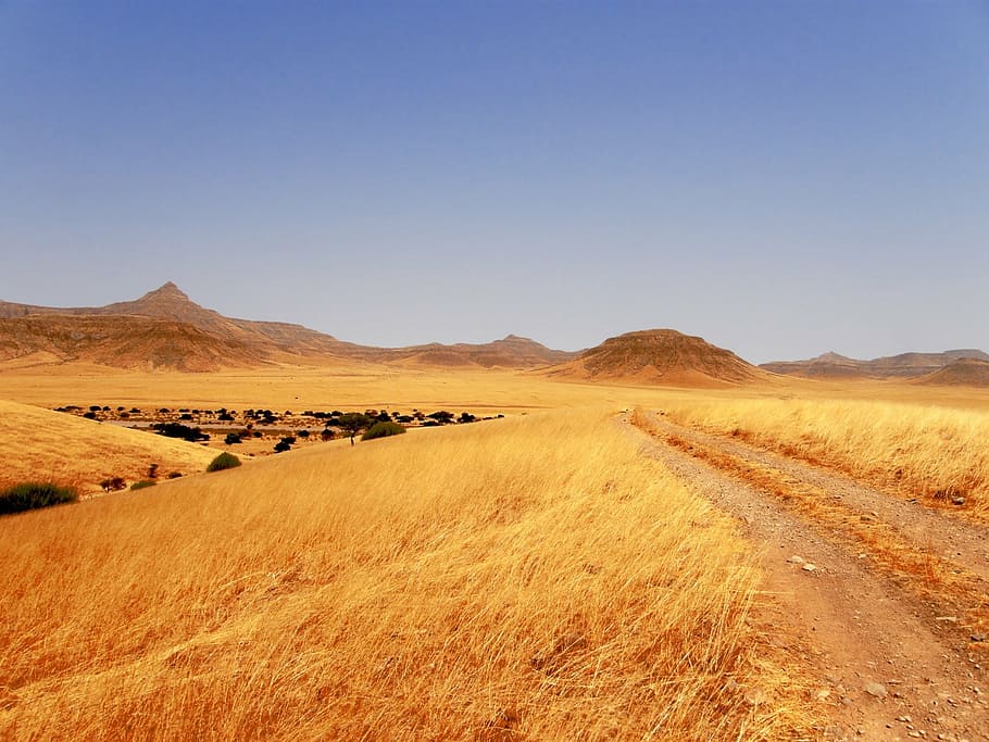 grass field leading to mountains, grasslands, track, stony HD wallpaper