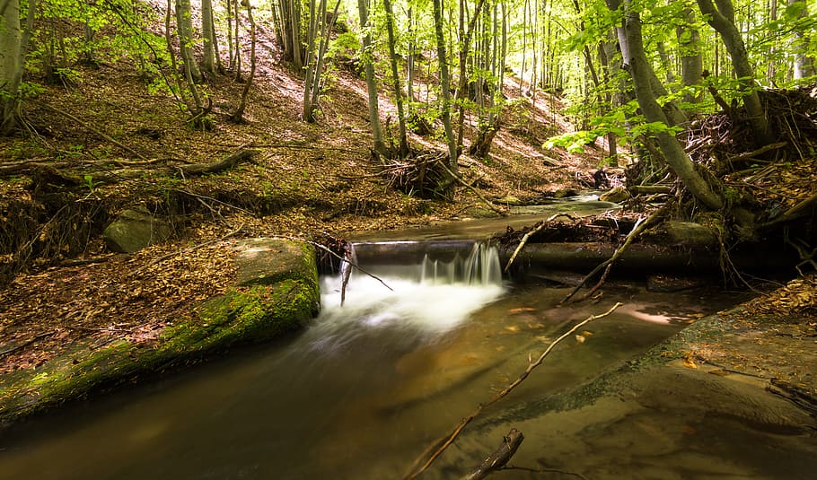 wood, light, landscape, nature, creek, environment, fall, flow HD wallpaper