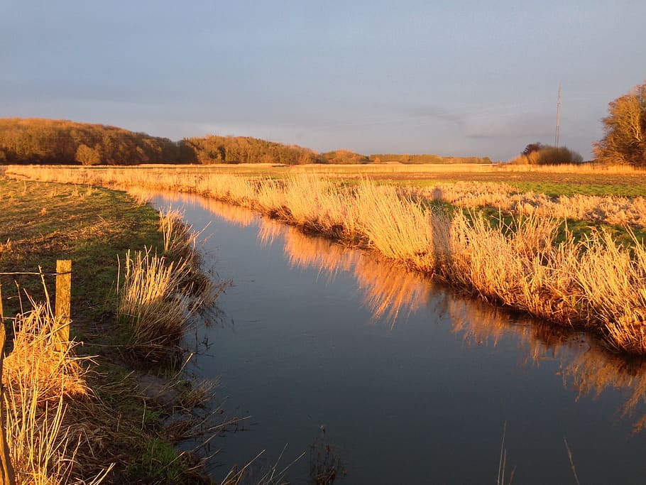 evening light, streams, fishing, water, tranquility, plant HD wallpaper