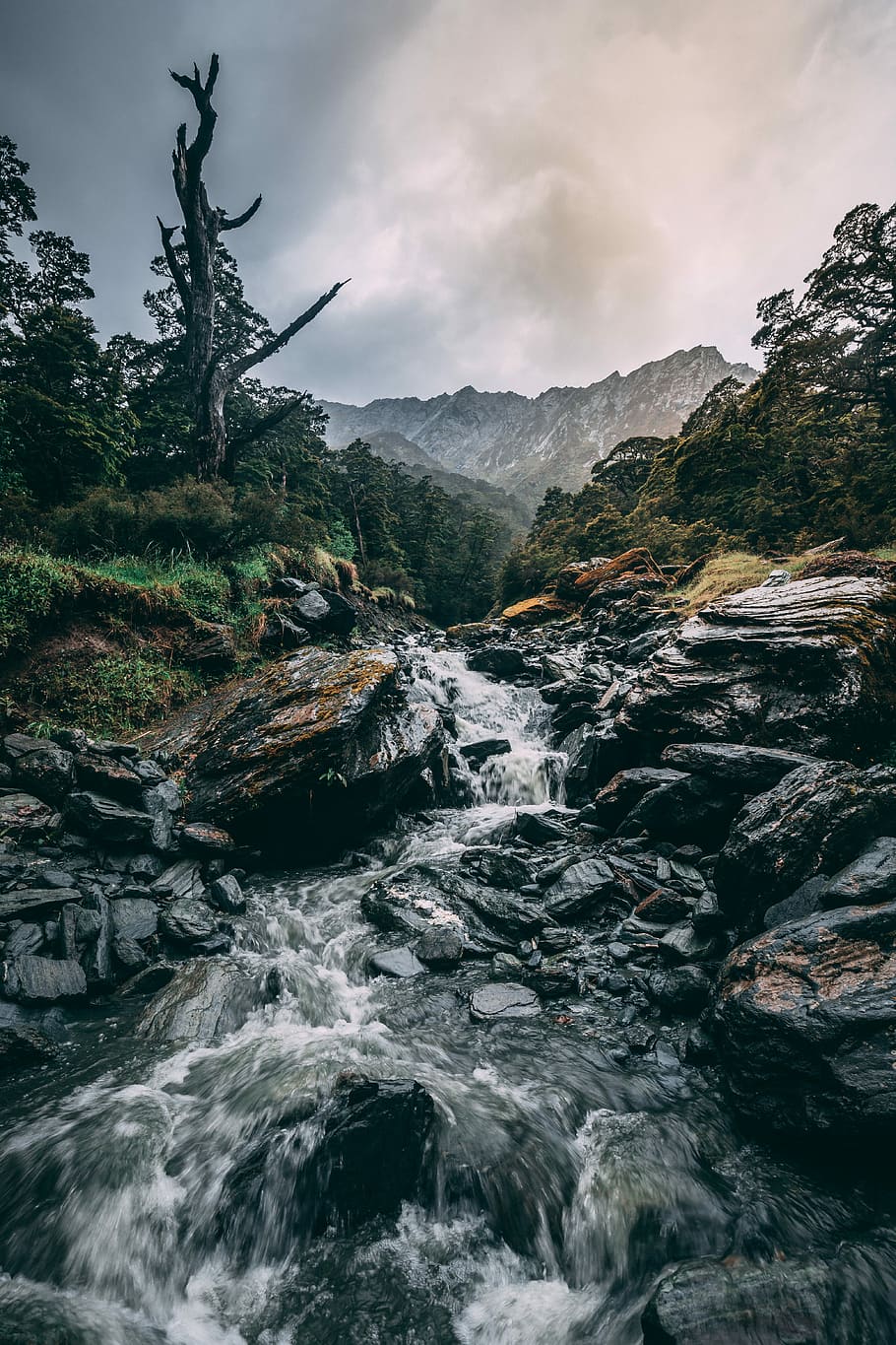 photo of river surrounded by rocks, river stream between trees under cloudy sky during day time HD wallpaper