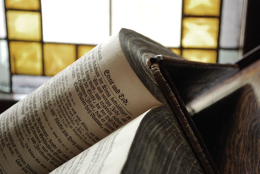 book, library, education, knowledge, archive, rent, old, dust HD wallpaper