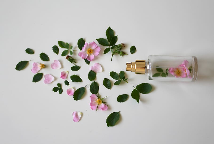 pink rose petals and green leaves near clear glass fragrance bottle on white surface