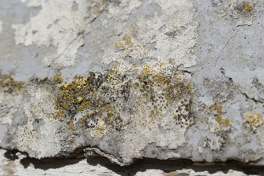weave, wall, old, weathered, lime plaster, facade, stone wall HD wallpaper