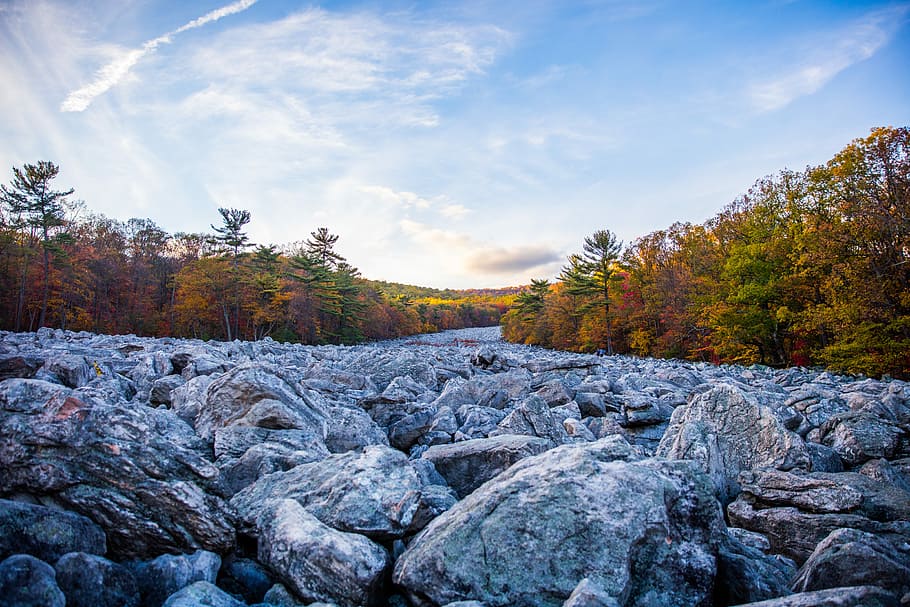 gray stones and brown trees under white and blue sky, rock pathway between trees HD wallpaper