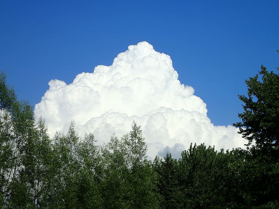 cloud, sky, cloud sky, nature, big, white, huge, tree, plant HD wallpaper