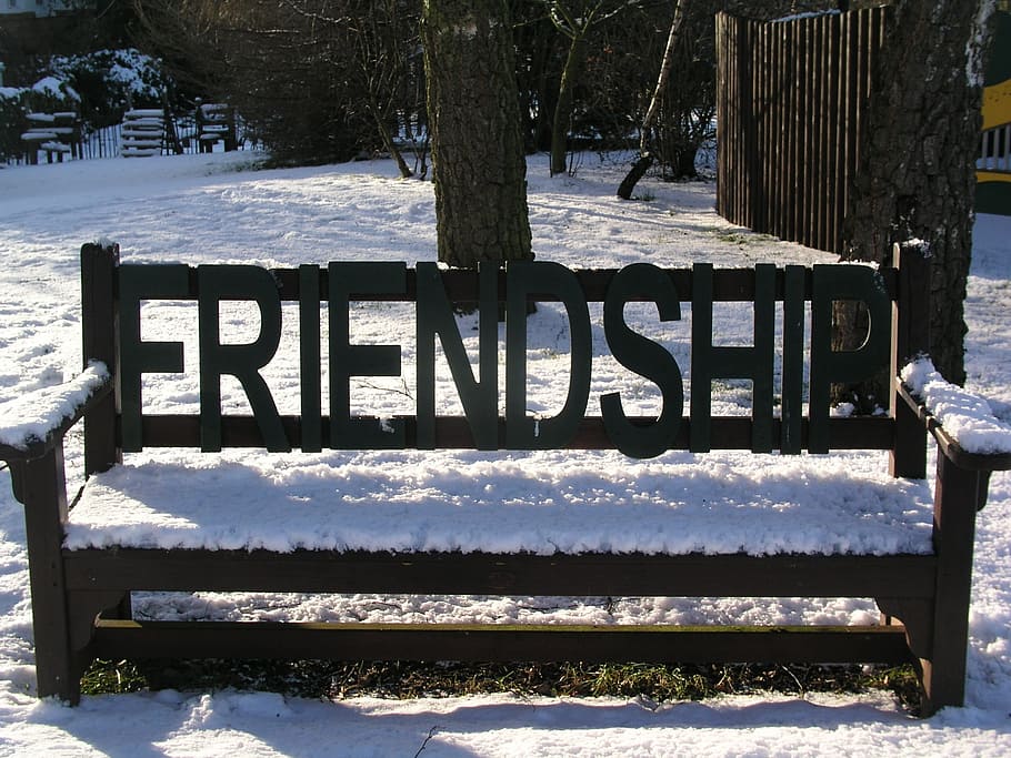 bench, freindship, snow, winter, park, cold temperature, nature HD wallpaper