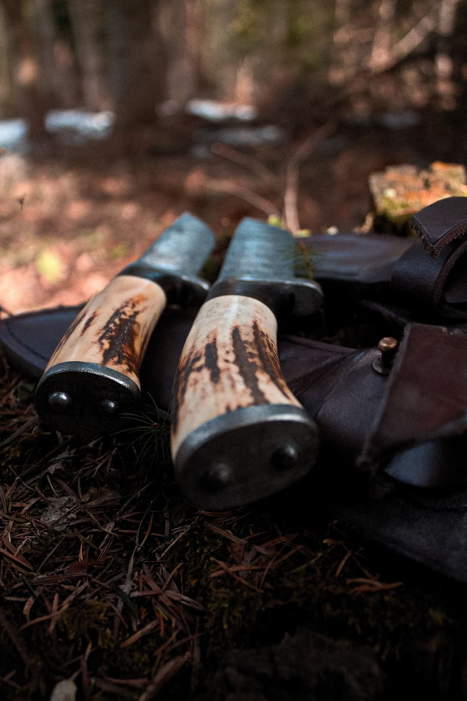 knives, brothers, forest, spring, nature, trees, wood - Material HD wallpaper