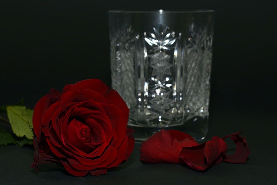 crystal cut drinking glass beside red rose, rose petals, crystal glass