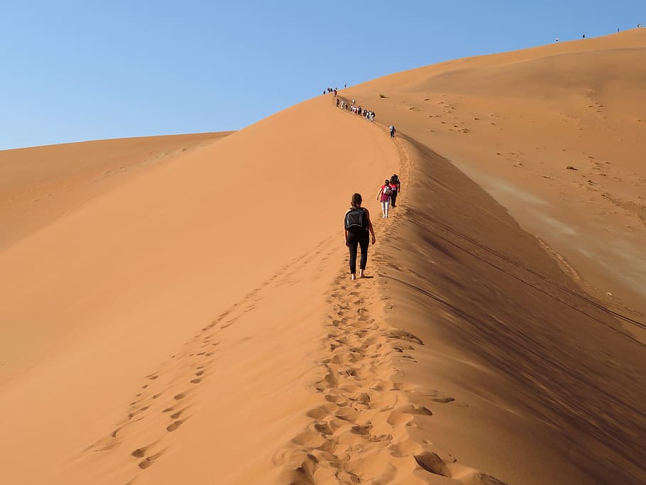 people walking on dune during daytime, big, daddy, namibia, desert, HD wallpaper