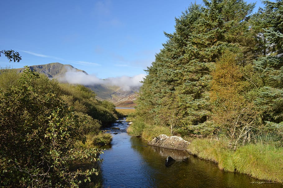 river surrounded by trees, stream, mountains, clouds, north wales HD wallpaper