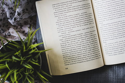 opened book beside green leafed potted plant, read, reading HD wallpaper