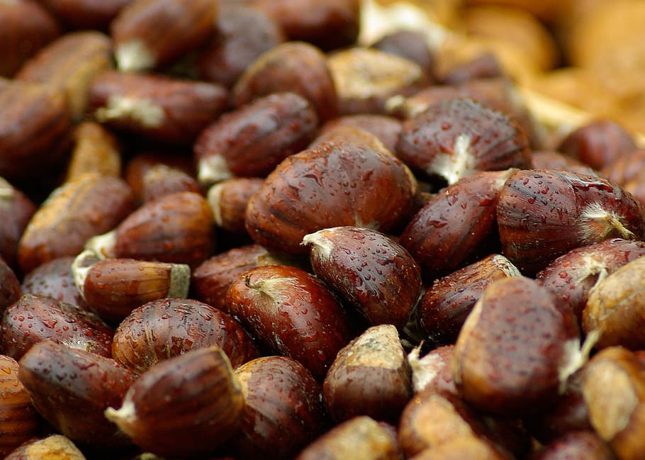 chestnuts, fall, brown, food, food and drink, large group of objects HD wallpaper