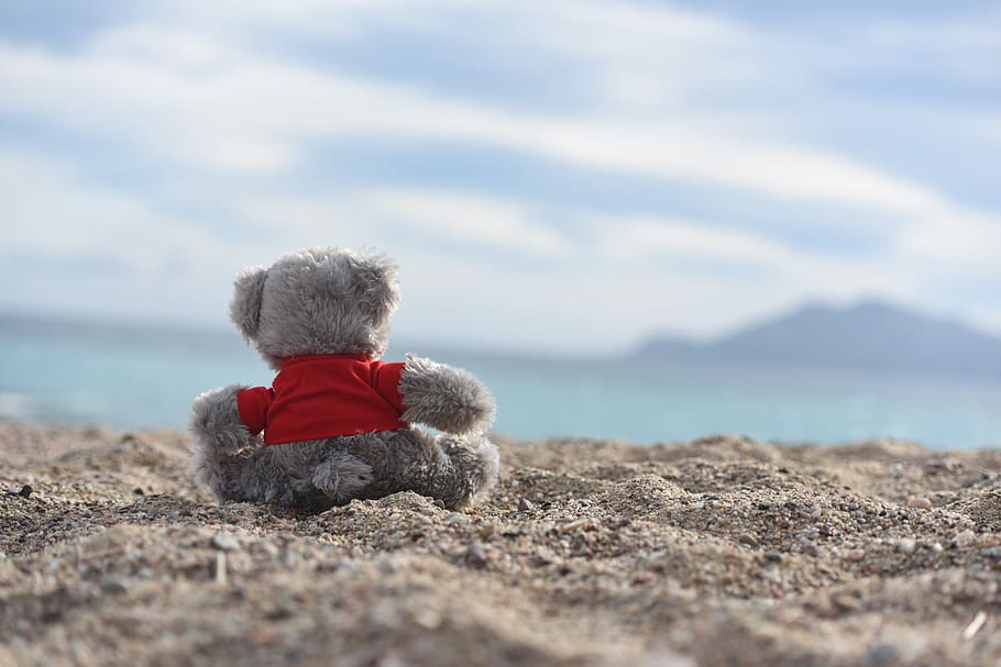 plush, beach, teddy bear, sand, childhood, one person, offspring HD wallpaper
