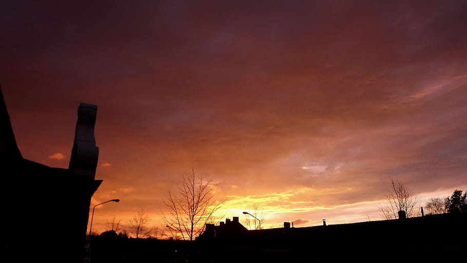 evening, sunset, sunlight, silhouette, dusk, nature, sky, back Lit HD wallpaper