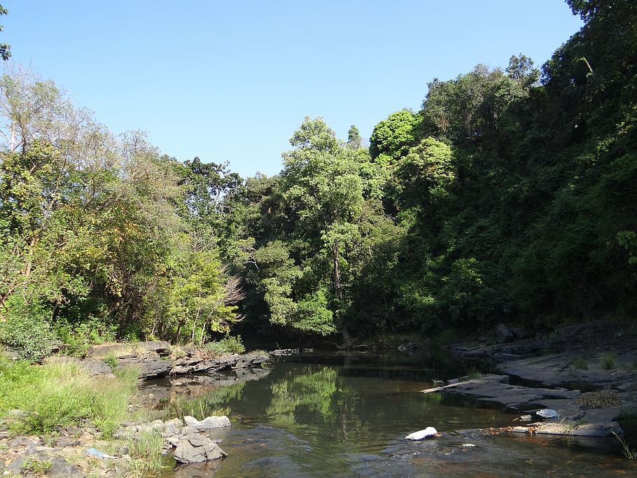 river, mandovi, river bed, water, flowing, mountainous, forests HD wallpaper