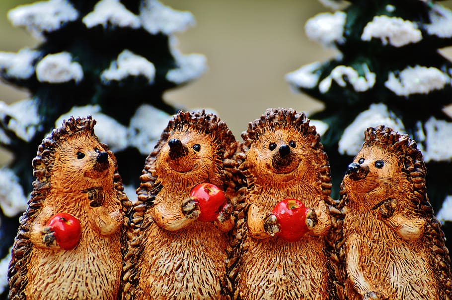 four brown guinea pigs figurines, winter, hedgehog, apple, cute HD wallpaper