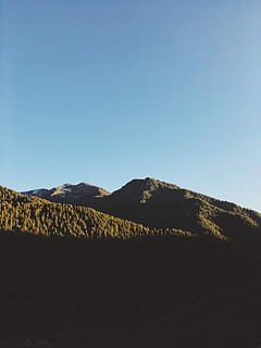 mountain covered with trees under blue sky at daytime, green mountains under blue sky during daytime HD wallpaper