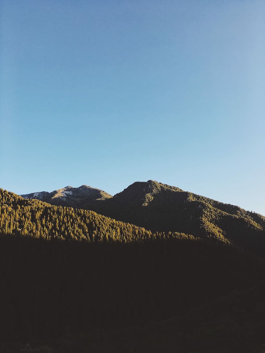 mountain covered with trees under blue sky at daytime, green mountains under blue sky during daytime HD wallpaper