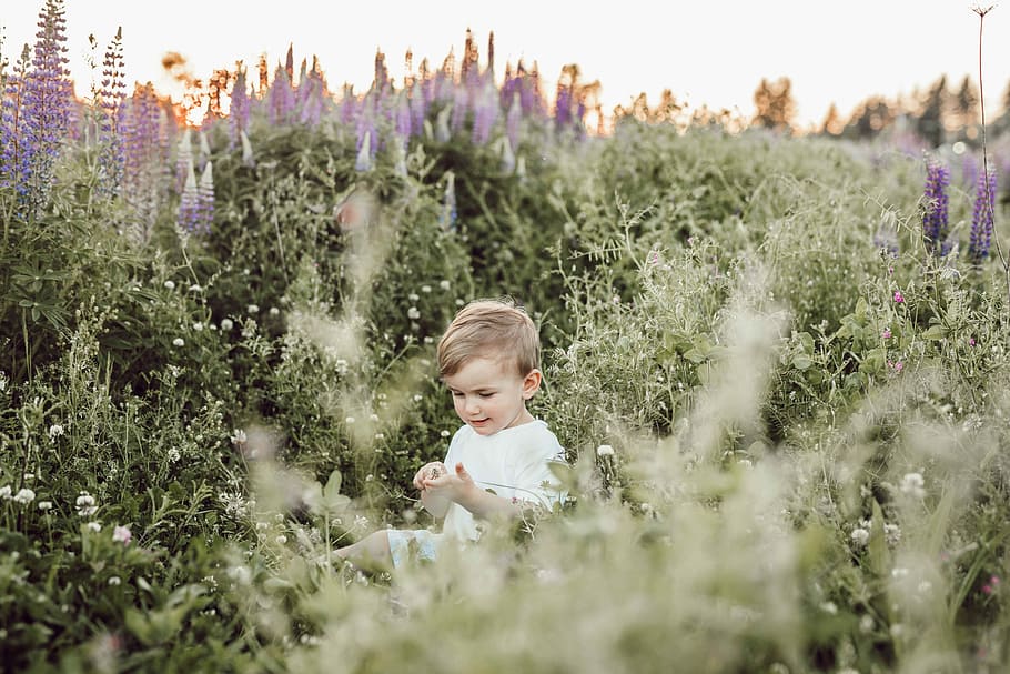 child surrounded by plants, boy in white suit holding green plant HD wallpaper