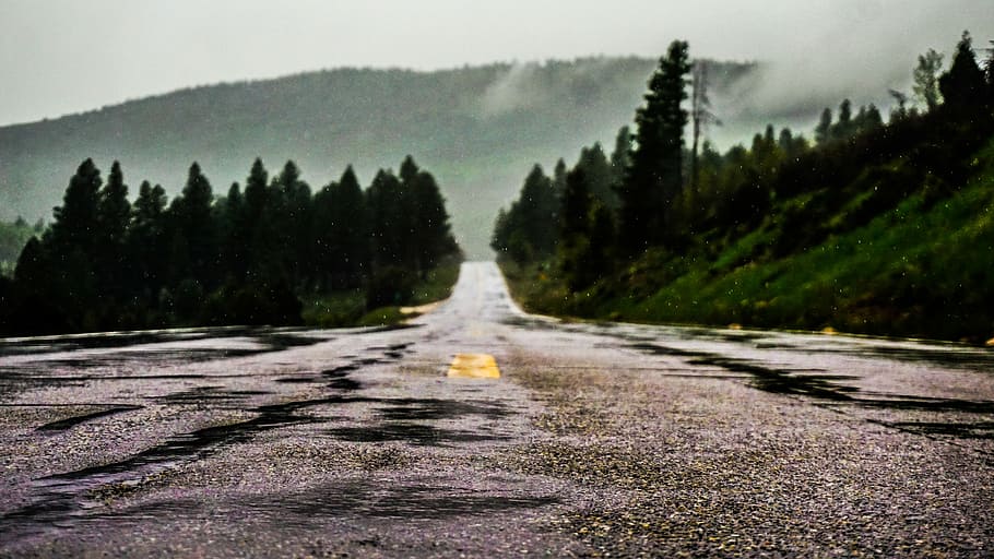 wide angle photo of gray road with pine trees beside, concrete road towards mountain HD wallpaper