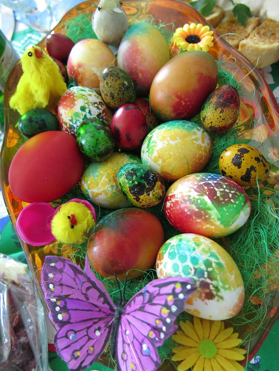 easter, eggs, chick, holiday, spring, easter egg, decoration HD wallpaper