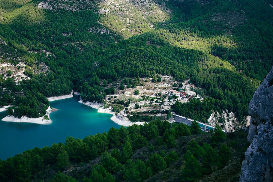 bird's eye view of village near trees, aerial view, mountain HD wallpaper
