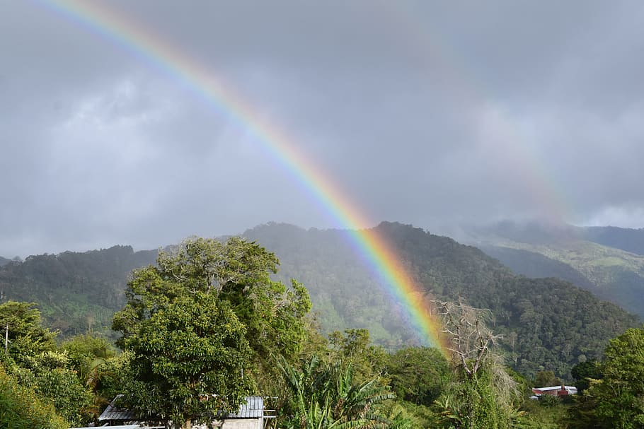 rainbow, nature, landscape, sky, summer, mountain, tree, travel HD wallpaper