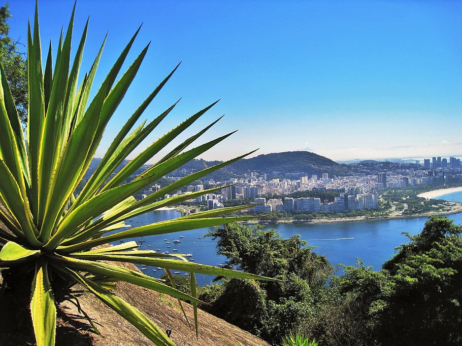 view from sugarloaf, flamengo beach, flamengo park, booked, HD wallpaper