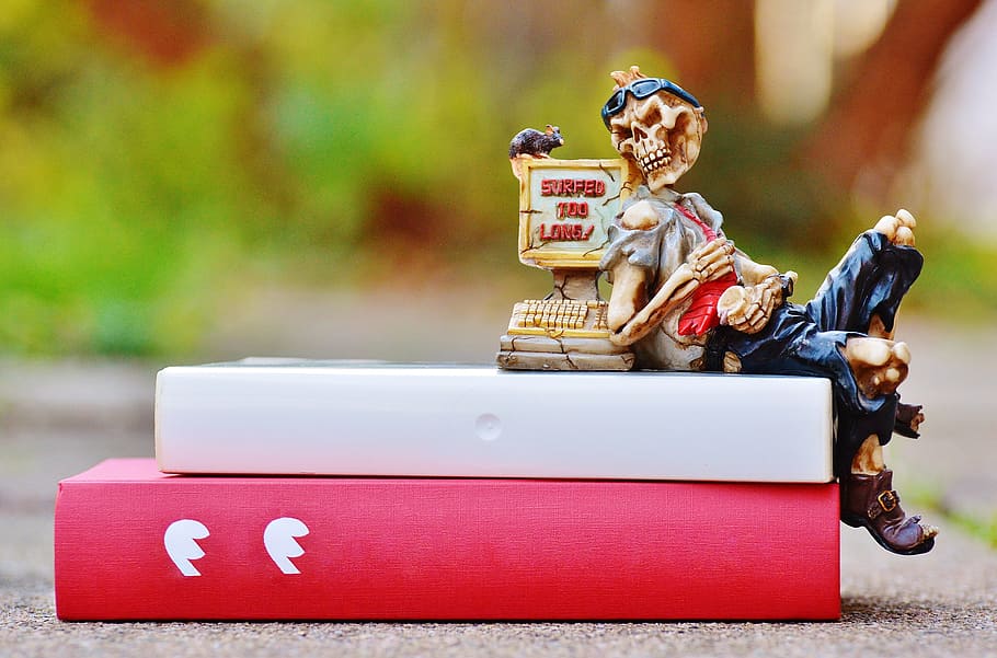 selective focus photography of calavera figurine on books, computer, HD wallpaper