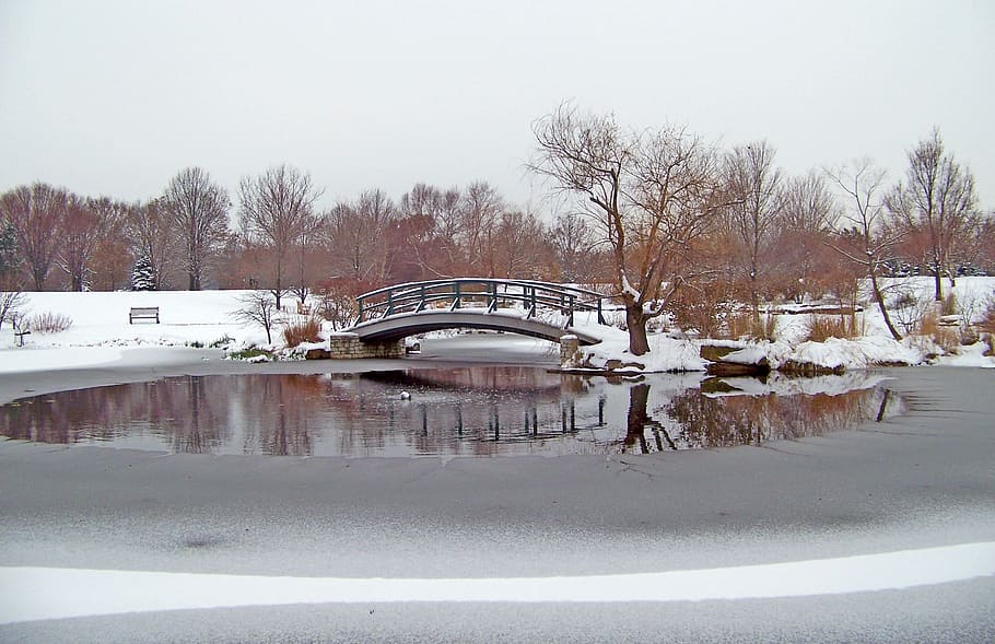 Winter, Bridge, Snow, Trees, Snowy, frosty, water, reflections HD wallpaper