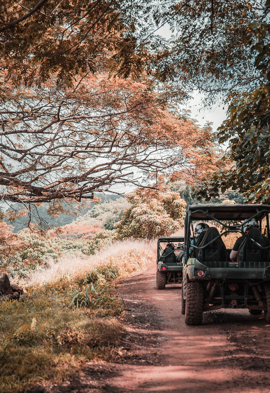 two off-road vehicles driving on dirt path, black and green ATC HD wallpaper