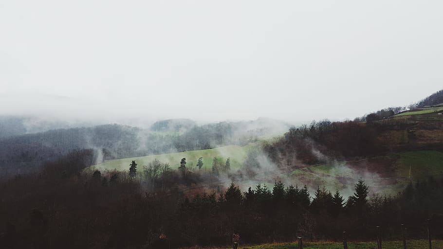 silhouette photography of trees with smokes, smokey mountain under white clouds HD wallpaper