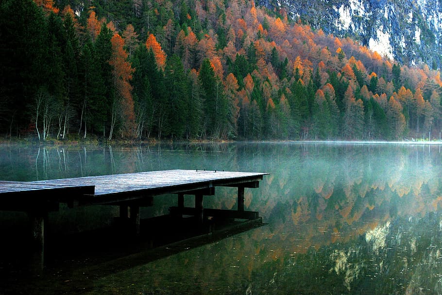 photo of gray wooden bridge near lake at daytime, autumn, fall HD wallpaper
