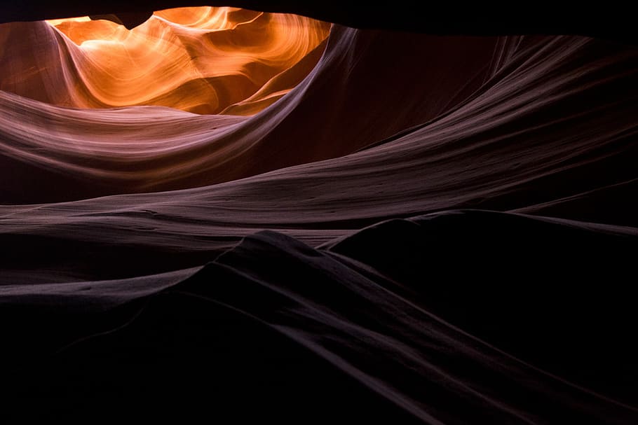 photography antelope, interior photography of Antelope during daytime HD wallpaper