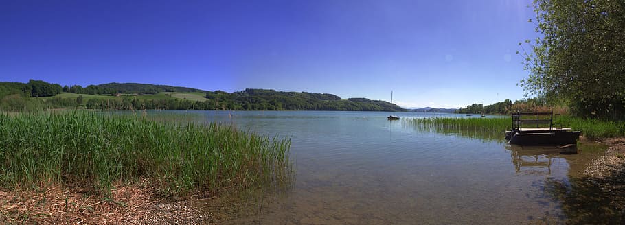 mattsee, upper austria, water, sky, plant, scenics - nature HD wallpaper
