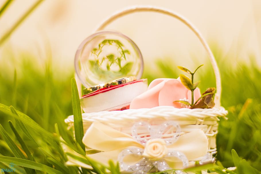 grass, ground, macro, basket, crystal ball, plant, nature, flower HD wallpaper