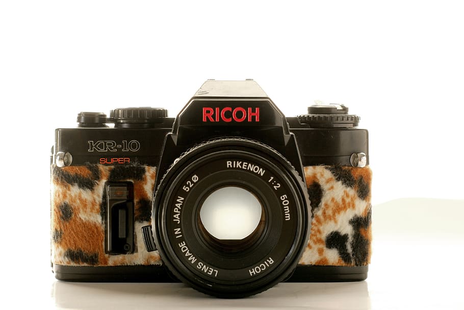 camera, plush, hipster, leopard, pink, fur, old, vintage, tinker HD wallpaper