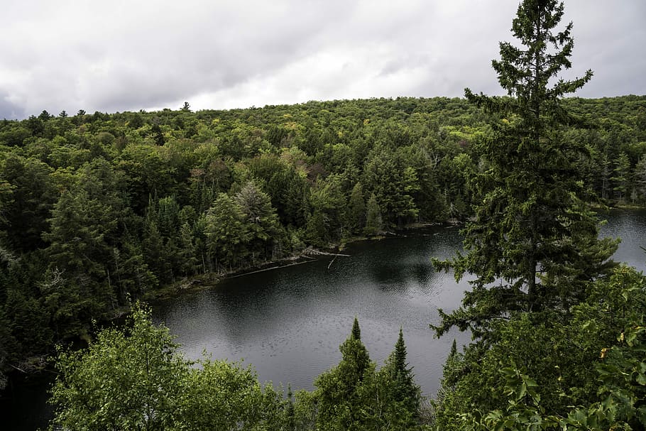 Forest and landscape and lake from Hemlock Bluff at Algonquin Provincial Park, Ontario HD wallpaper