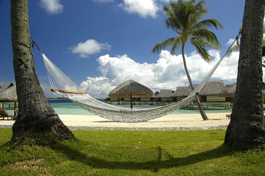 hammock on trees, beach, bungalows, clouds, nature, ocean, palm trees HD wallpaper