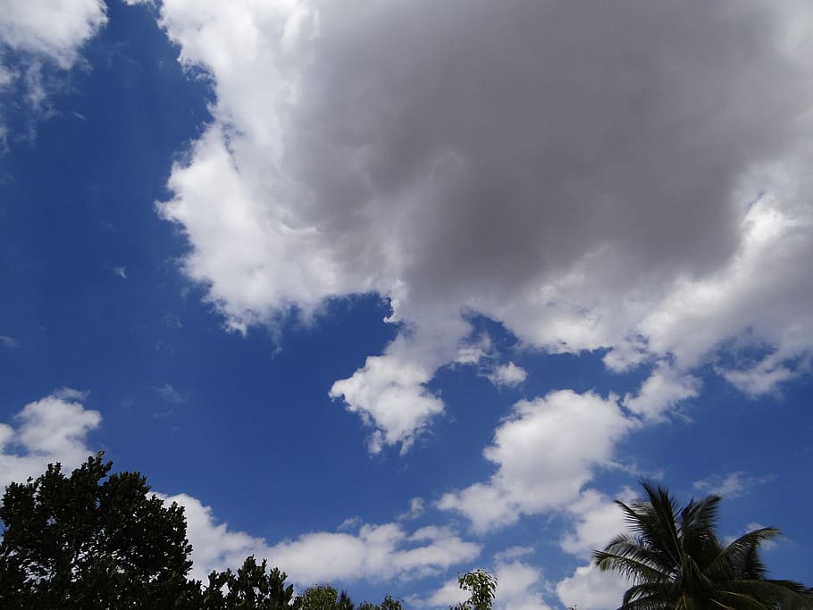 clouds, sky, blue, fluffy, high, environment, weather, cloudy HD wallpaper