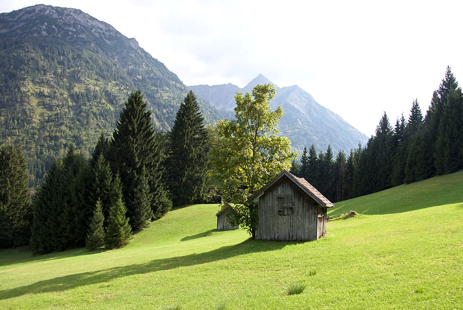 Alm, Hut, Meadow, Oberstdorf, gary long, bavaria, water, allgäu HD wallpaper
