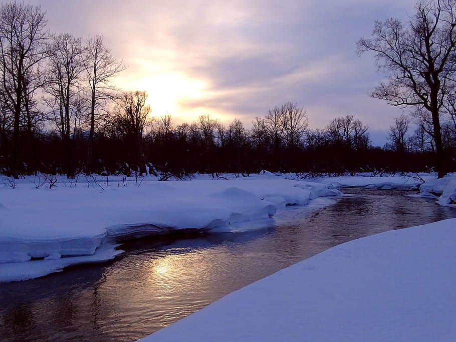 winter, river, mountains, forest, reflection, snow, leann, cold HD wallpaper