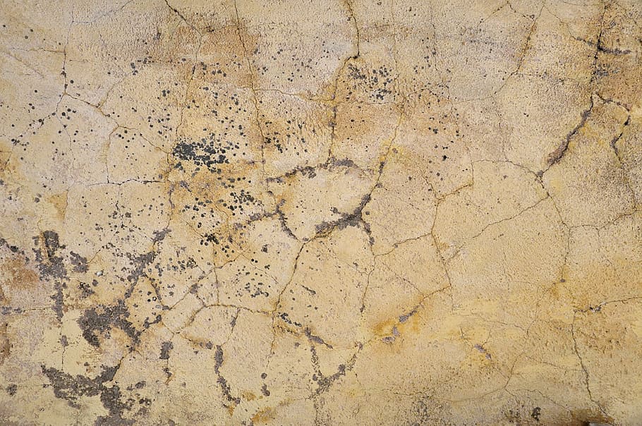 cracked beige painted surface, wall, background, wallpaper HD wallpaper