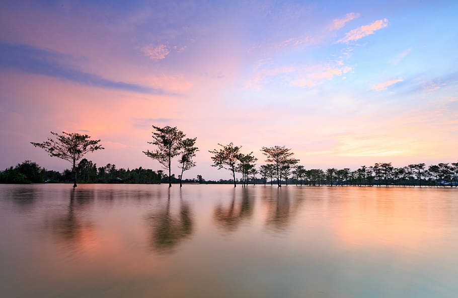 water, sunset, nature, reflection, fields, viet nam, sky, scenics - nature HD wallpaper