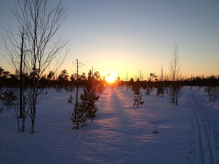 Winter, Landscape, Nature, Sunset, reflection, cold temperature HD wallpaper