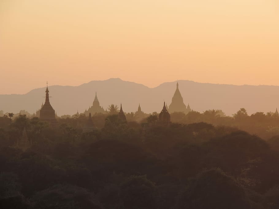 bird's eye view of trees, silhouette photo of temples, forest HD wallpaper